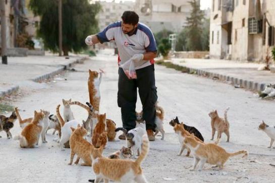 A an ambulance driver in Aleppo who buys $4 worth of meat every day to feed 150 cats.