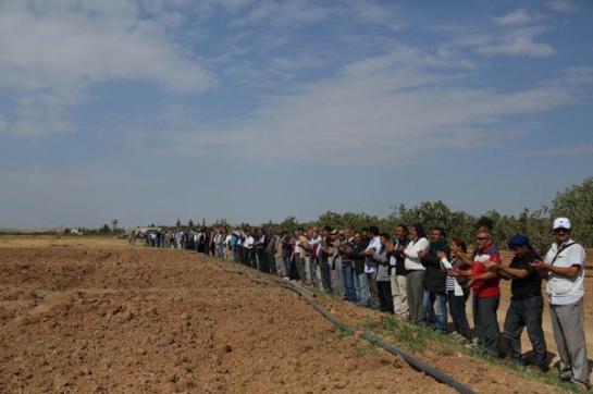 People standing along the Kobani border.